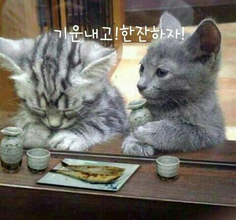 애주가 이미지
