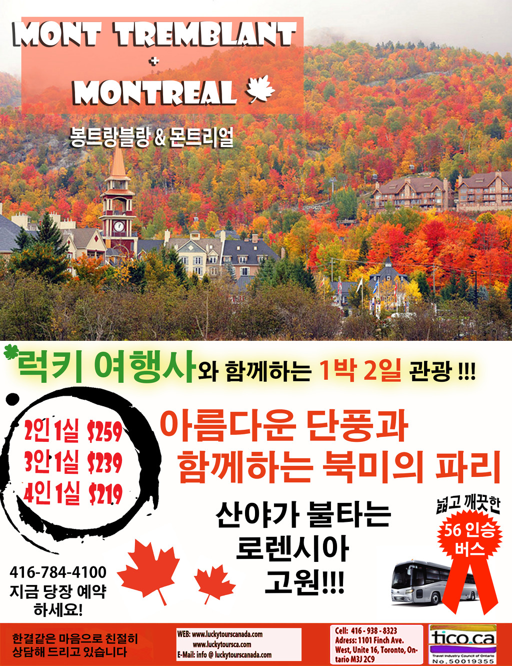 럭키관광여행사 이미지