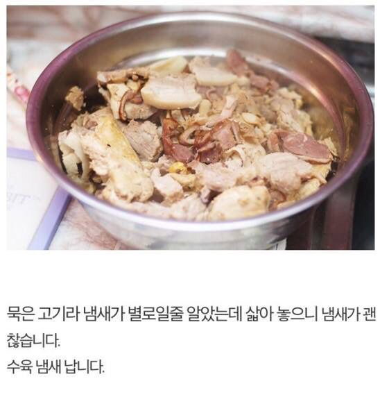길고양이에게 정성스러운 먹이를 준비해보았다 | 인스티즈