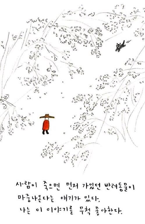 동물을 키우는 사람이라면 눈물나는.jpg | 인스티즈