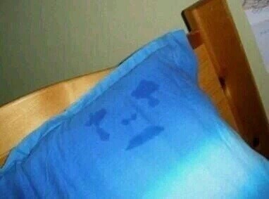 아무생각없이 들어왔는데 뻘하게 터지는 짤들 | 인스티즈