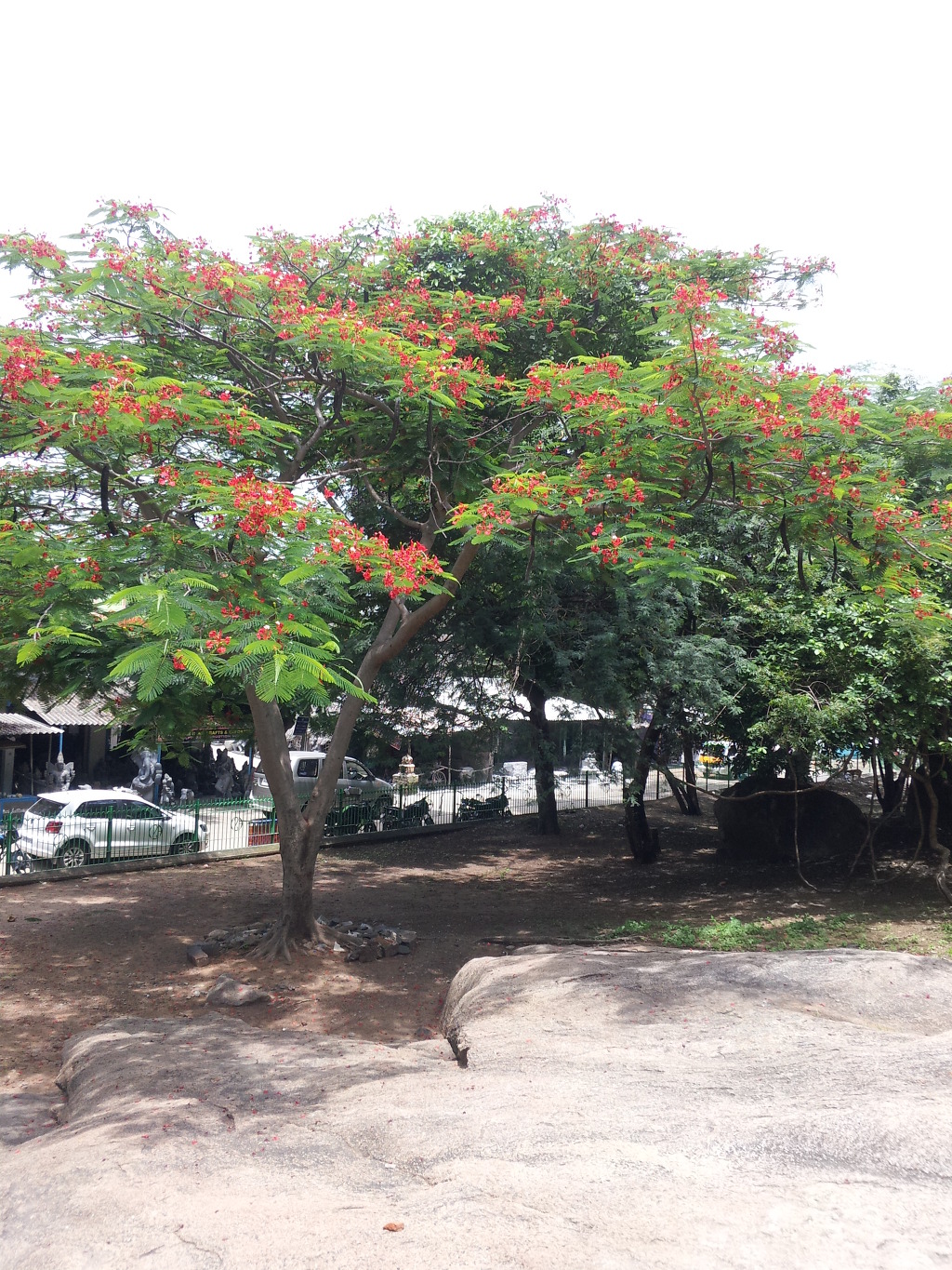 마발라 이미지