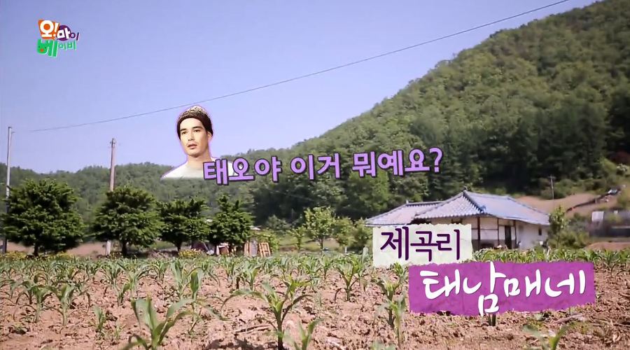 [오마이베이비] 태린이의 모든걸 따라하는 누나바라기 태오ㅋㅋㅋㅋ | 인스티즈