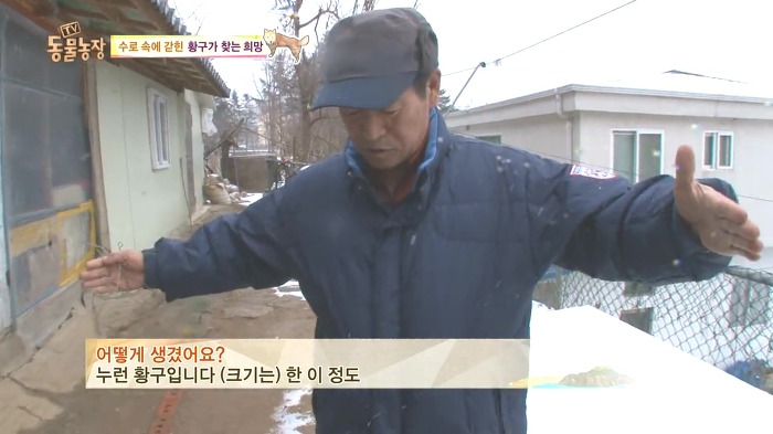 [동물농장] 수로 속에 갇힌 황구가 찾는 희망.JPG (감동주의) | 인스티즈