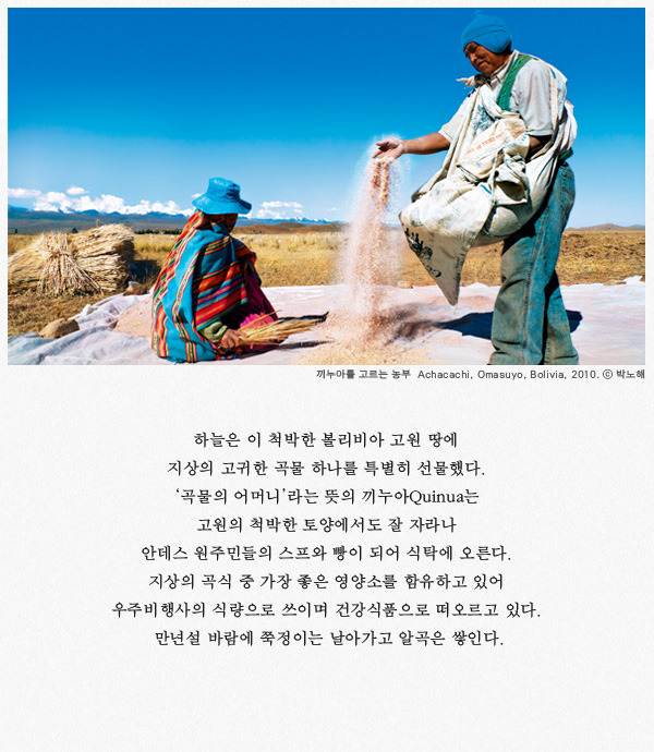 티티카카 이미지