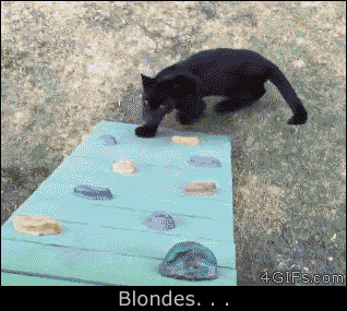 머리가 나쁘면 몸이 고생한다 .gif | 인스티즈