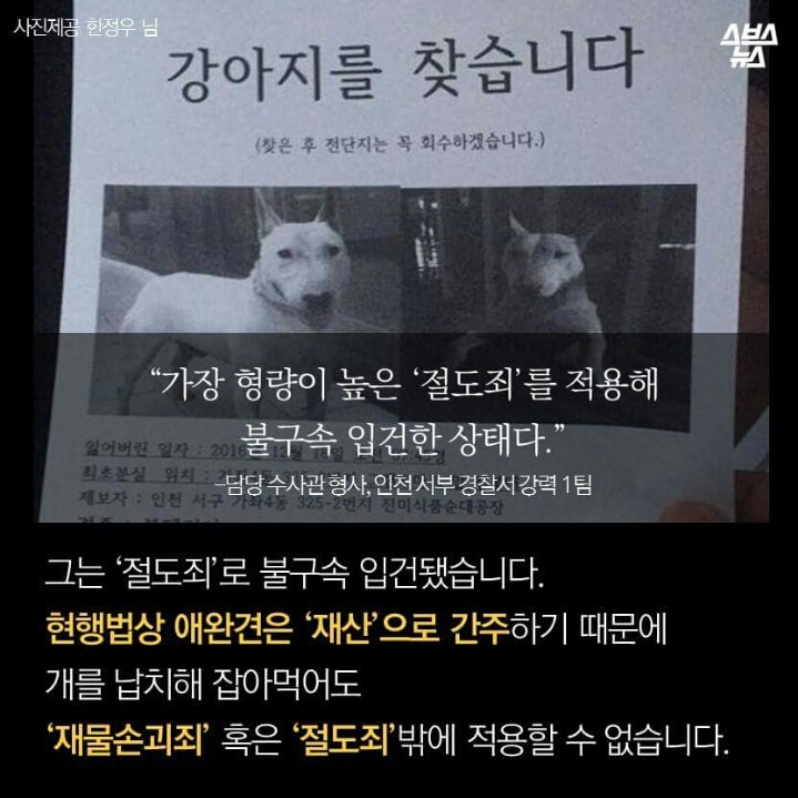 제 강아지가 잡아 먹혔습니다.jpg | 인스티즈