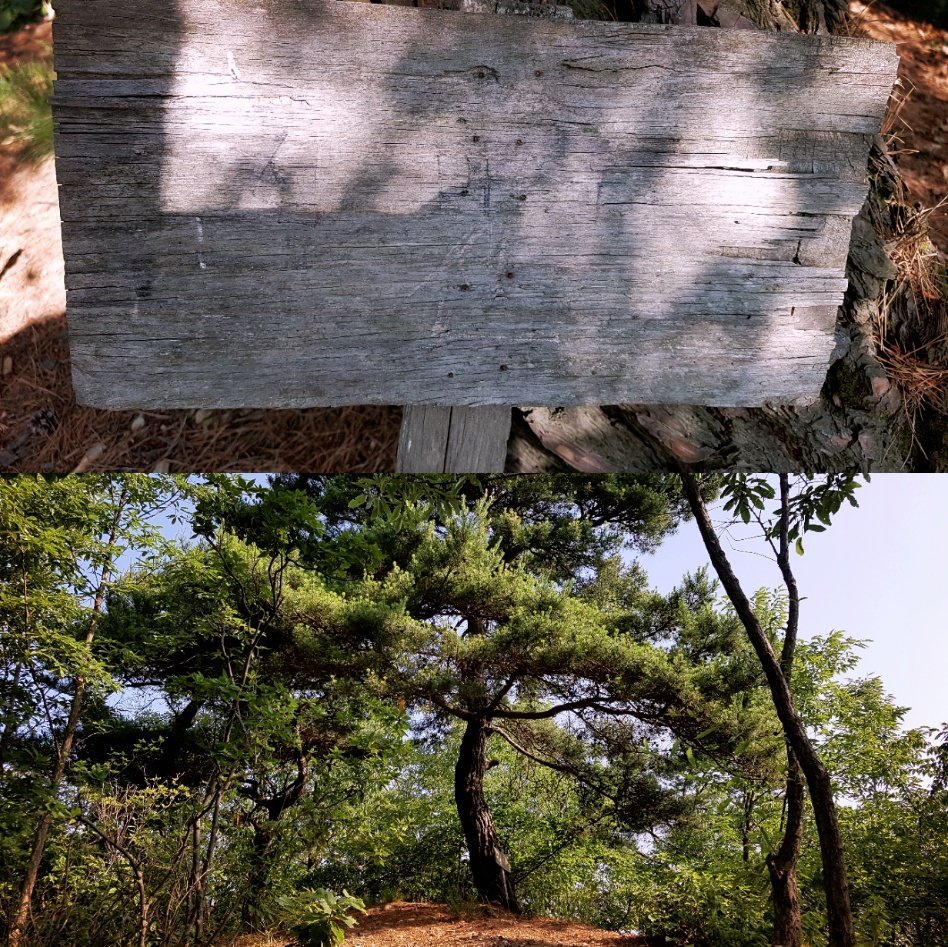 대전시경계종주 이미지