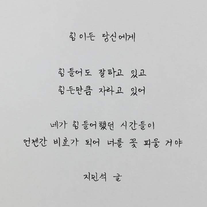 돼지오빠 이미지