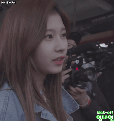 스위스에서 늑대찾는 사나 | 인스티즈