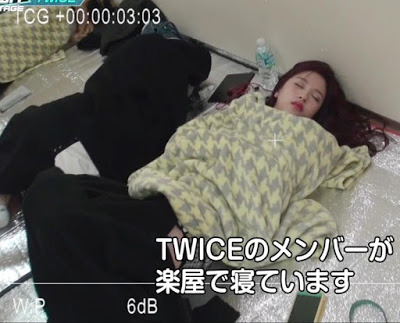 [트와이스] 싸움 제일 못할거 같은 맴버 gif | 인스티즈