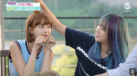 귀요미 헬로비너스 나라 | 인스티즈