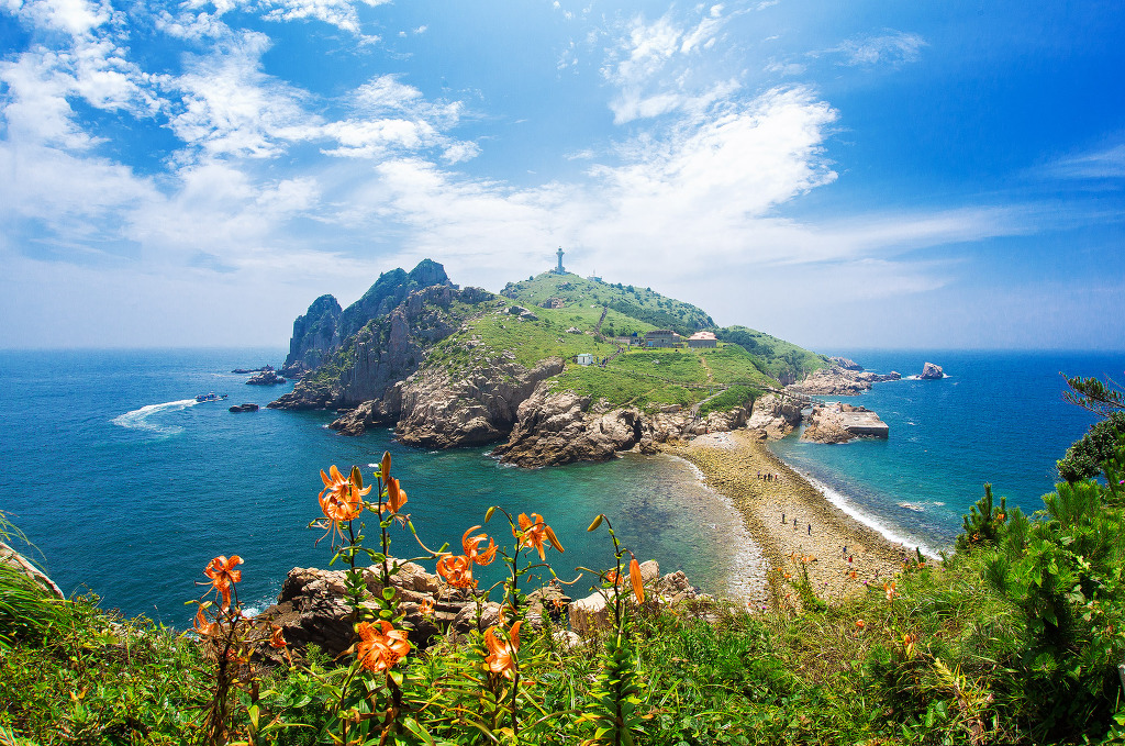 소와풍경 이미지