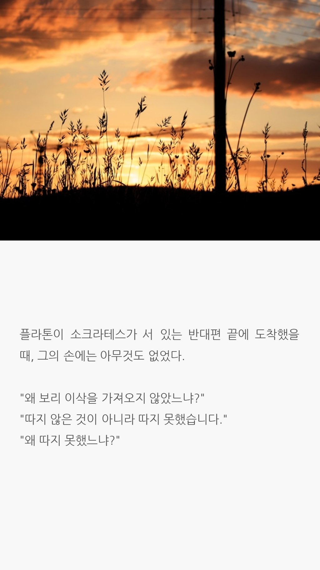  사랑에 대해 모르는 당신이 읽으면 좋은 글 | 인스티즈