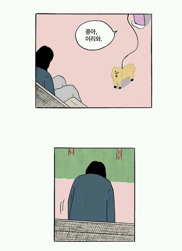 반려견을 무지개 다리로 보냈던 사람들이 공감하는 것 | 인스티즈