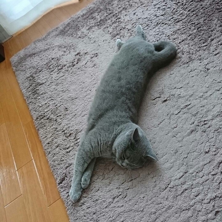 거대한 먼지덩어리들 | 인스티즈