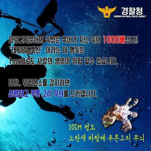 바닷가에서 맨손으로 잡으면 안되는 이것! | 인스티즈
