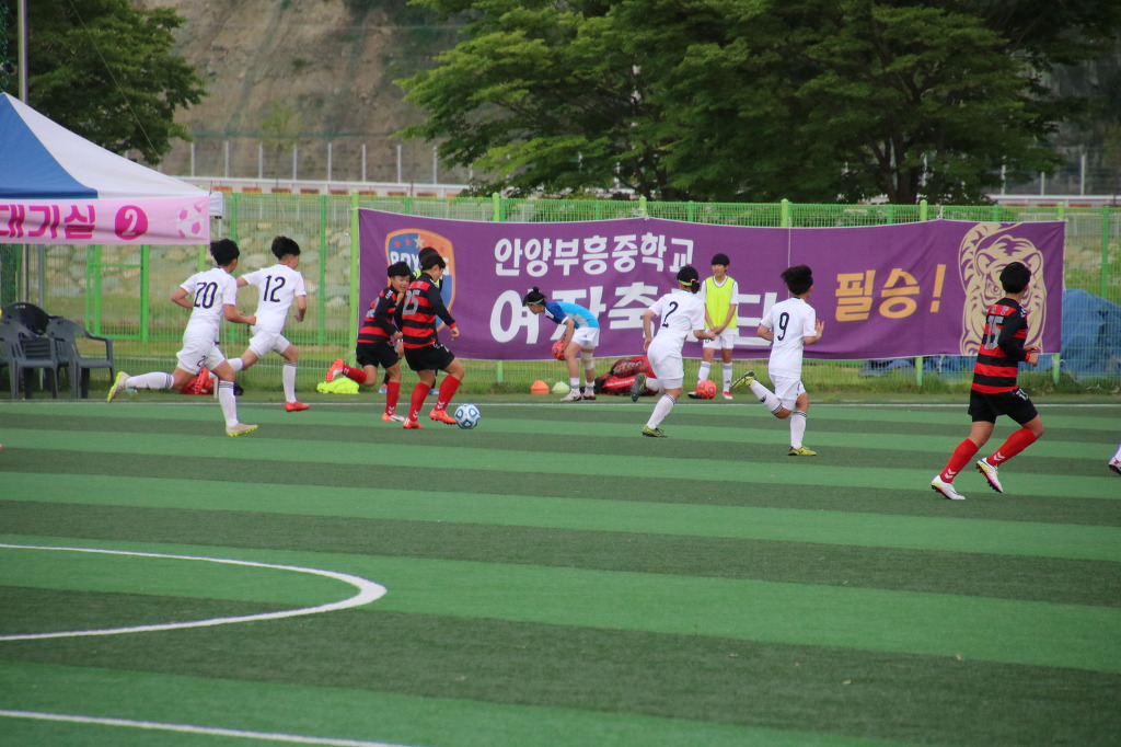 조천중학교 이미지