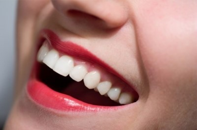 2n인생도 잘 견뎌주었던 여시에게 이 중에서 선택권이 주어진다면? (한가지말고 두가지고르기) | 인스티즈