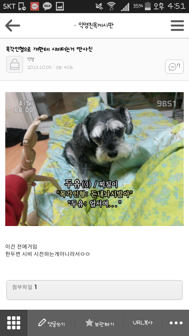 평화로운 익친이네 개들.jpg | 인스티즈