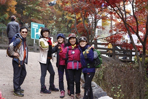 돼지방 이미지