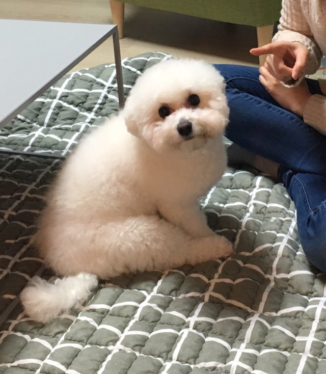 말랑 이미지