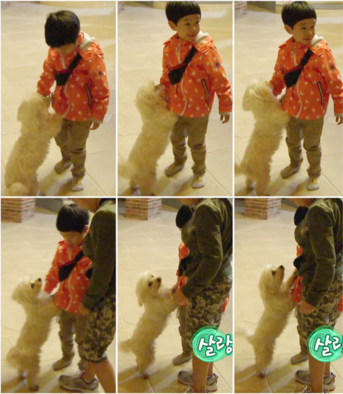 [아빠어디가] 동물이란 동물은 다 좋아하는 것 같은 민율이ㅋㅋ (아기♥동물=힐링) | 인스티즈