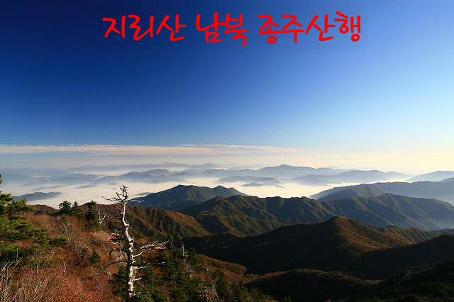 대성실상사 이미지