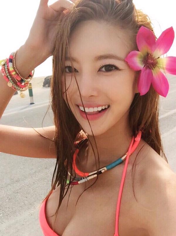 머리에꽃을 이미지