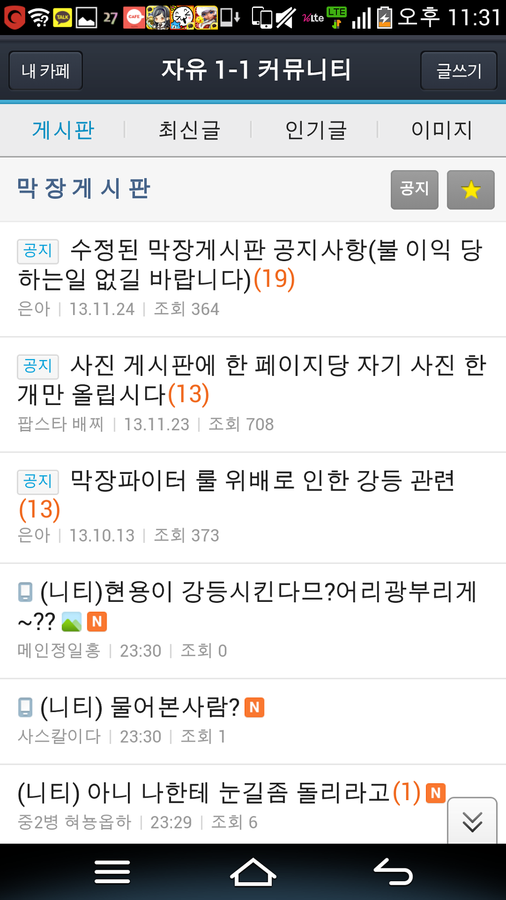 일홍 이미지