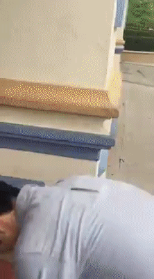 에버랜드 입장 방법.gif | 인스티즈