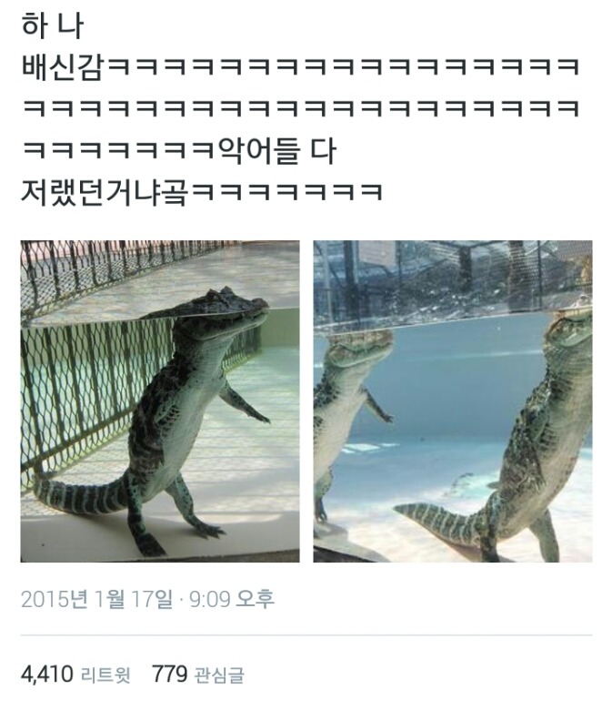오버로드.gif | 인스티즈