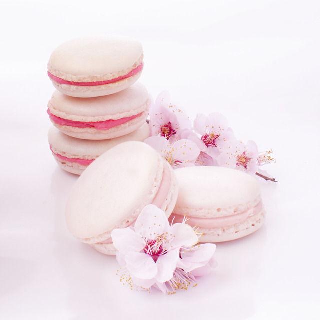 벚꽃 디저트 | 인스티즈