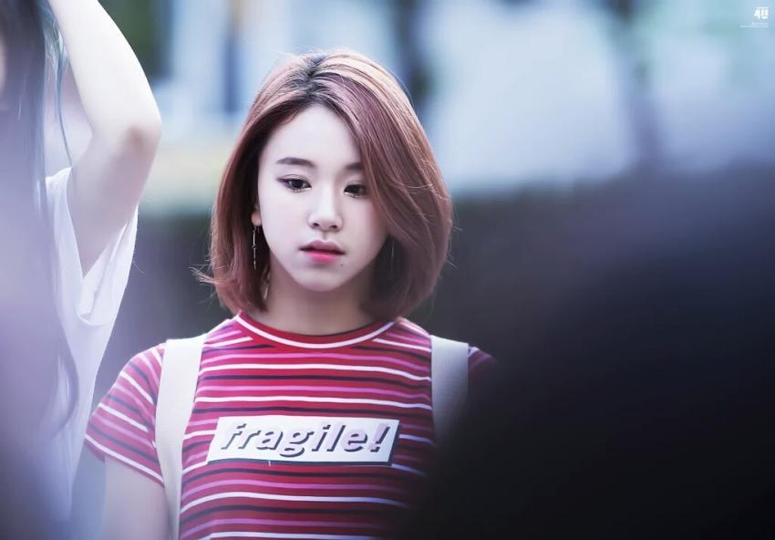 손채영.gif+jyp (데이터주의) | 인스티즈