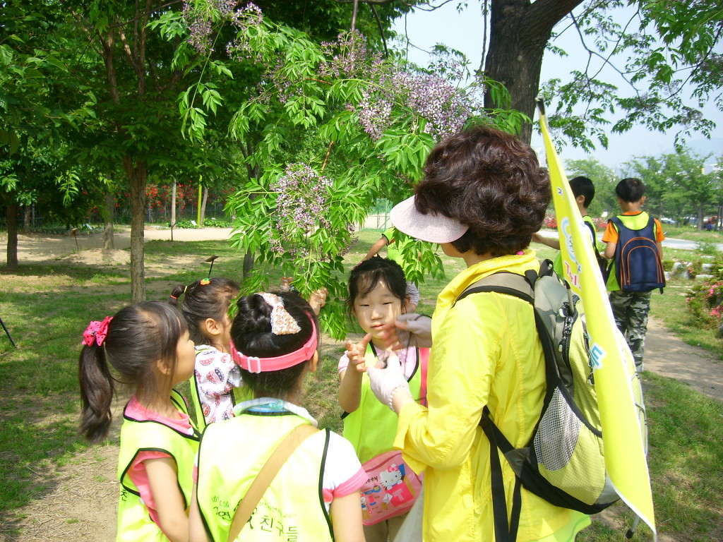 수안초등학교 이미지