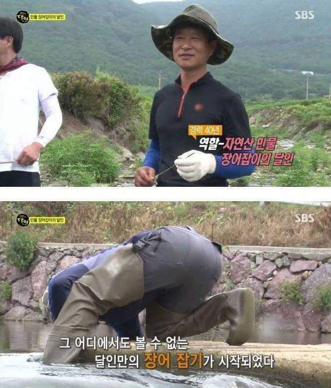 민물장어의 위엄 | 인스티즈
