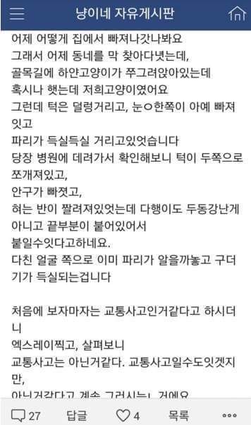 집 나간 고양이가 안구가 척출되어 돌아왔습니다 (사진 주의) | 인스티즈