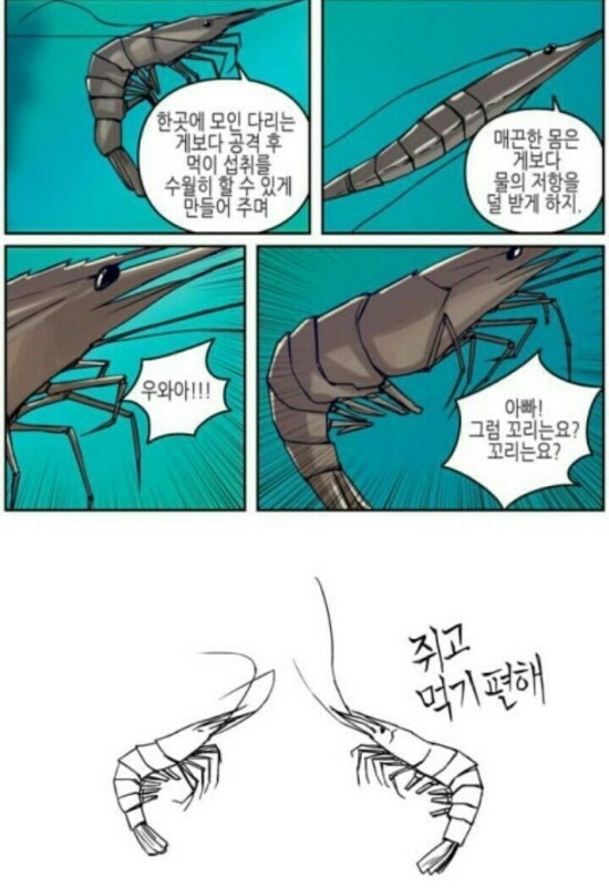 새우 꼬리의 용도 | 인스티즈