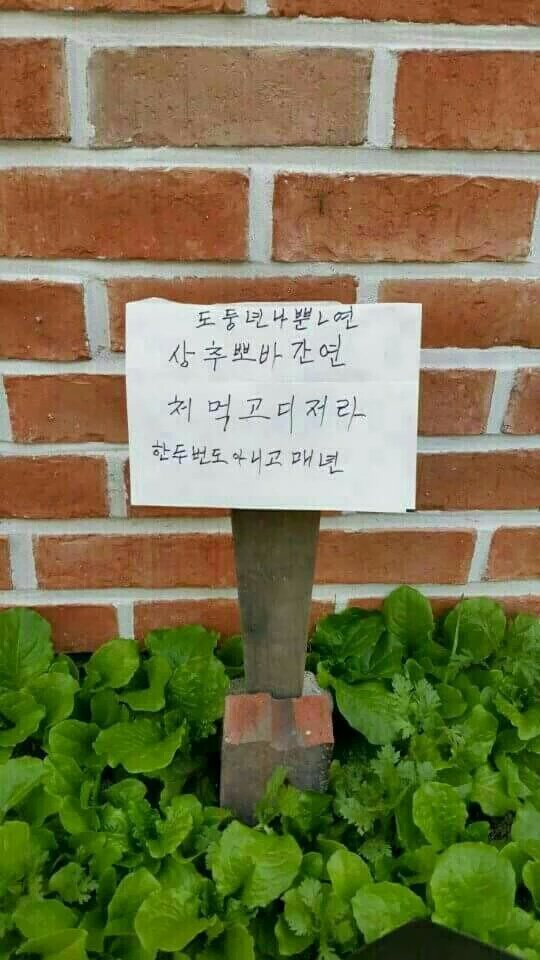 도둑에 빡친 할머니의 라임 | 인스티즈