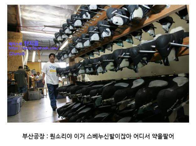 스베누사태 알기쉽게 요약.jpg | 인스티즈