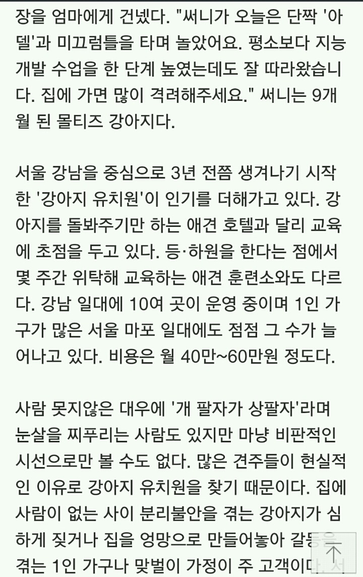 유치원 다니는 강아지들 셔틀버스는 기본 과목별 시간표도 | 인스티즈