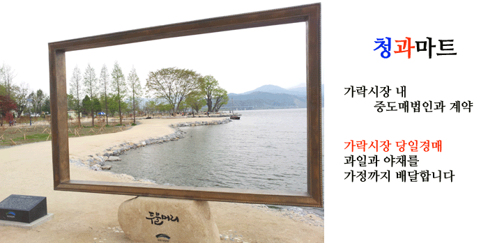 싱싱청과마트 이미지