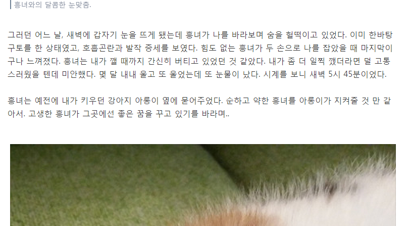 효린 어제 언프리티 랩스타2 준결승곡 사연.JPG | 인스티즈