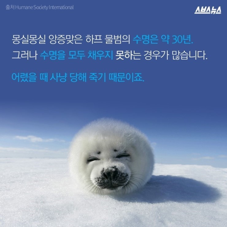  코리아 미워요 | 인스티즈