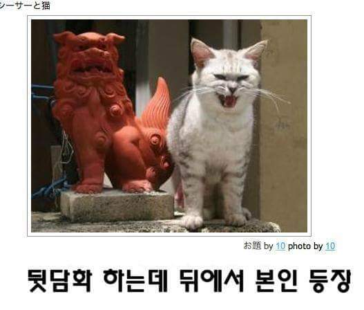 고양이 제목 학원 | 인스티즈