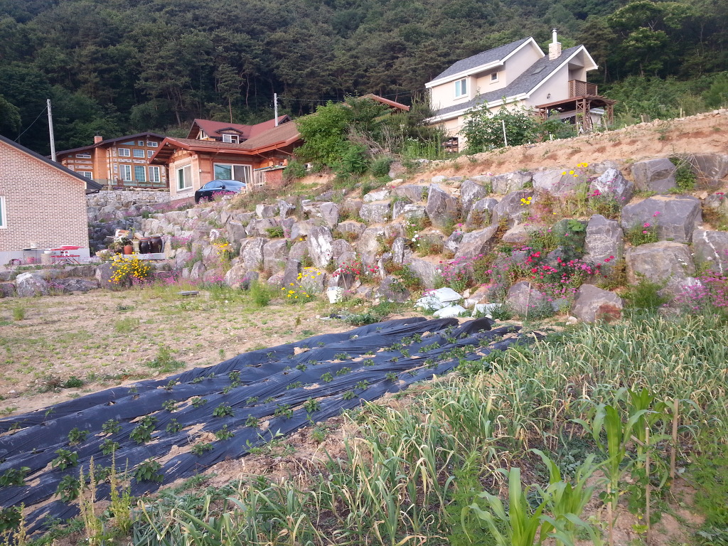 충남정화조 이미지