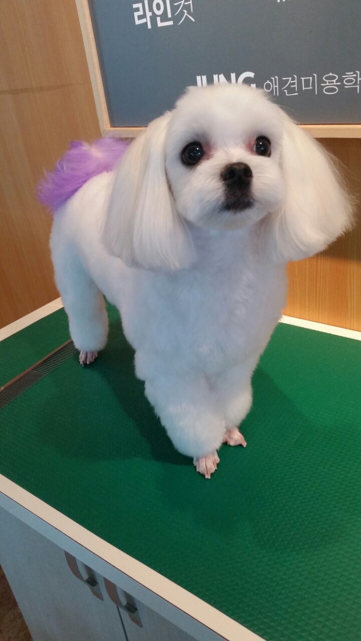 대풍 이미지
