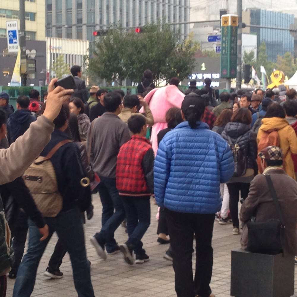광화문 광장에 핑크 코끼리. jpg | 인스티즈