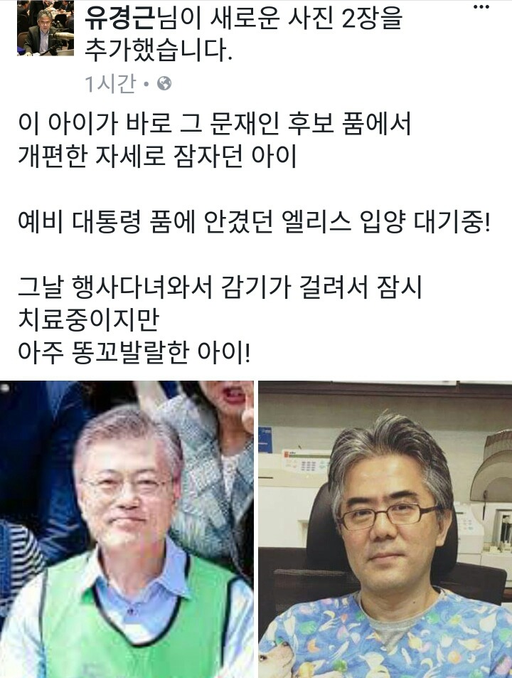 문재인 마약방석에서 극락 맛 본 댕댕이가 곧 입양된다는 기쁜소식!!!! | 인스티즈