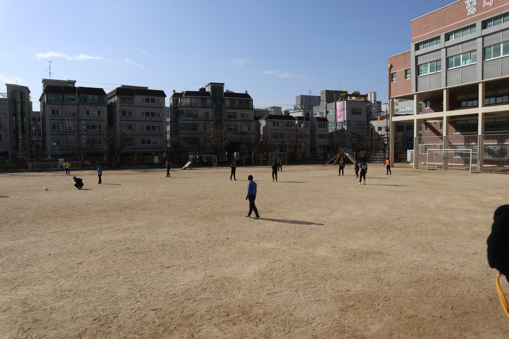 작동초등학교 이미지
